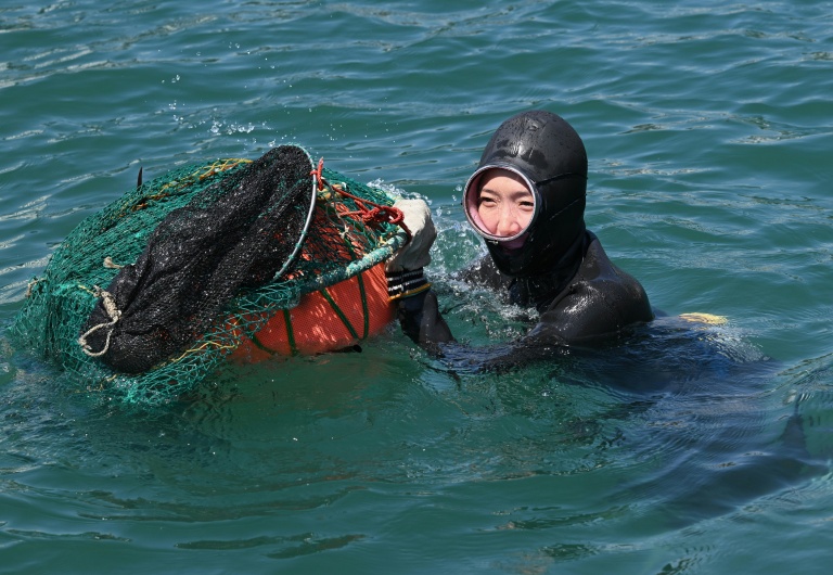 En Corée du Sud, l'appel des "femmes de la mer" attire une nouvelle génération